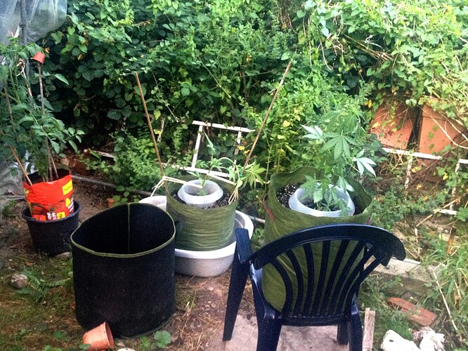 Growreport Bild 8