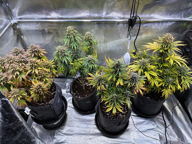 Growreport Bild 15