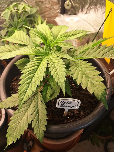 Growreport Bild 12
