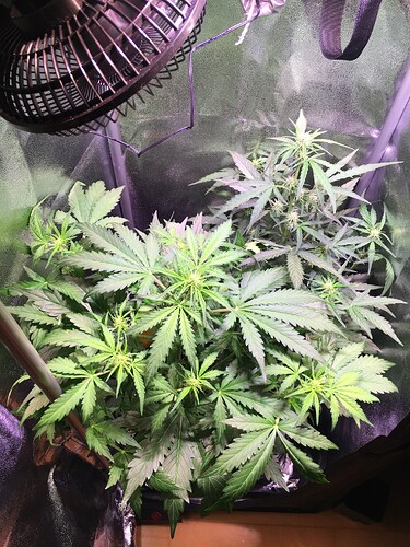 Growreport Bild 5
