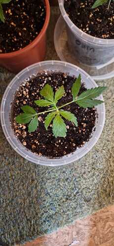 WhatsApp Bild 2024-04-15 um 12.38.29_ba50d4d9