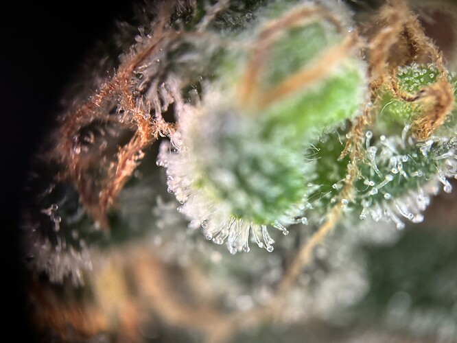 Growreport Bild 8