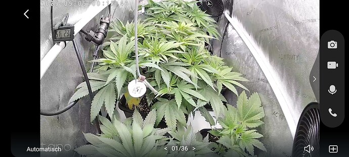 Growreport Bild 5