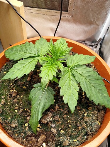 IMG_20240428_154927249_HDR