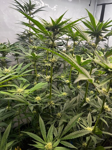 Growreport Bild 6