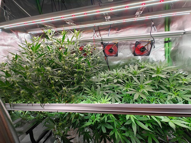 Growreport Bild 5