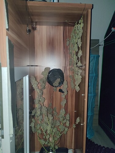 Growreport Bild 29