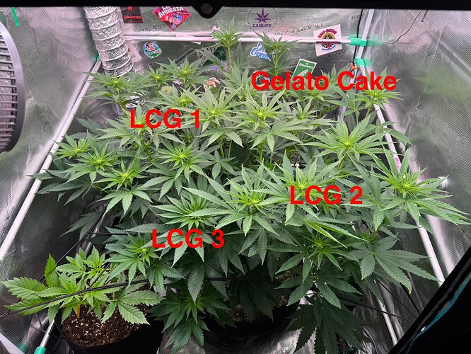 Growreport Bild 10