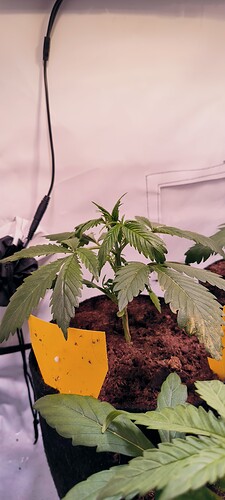 Growreport Bild 7
