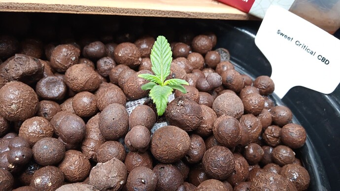 Growreport Bild 13