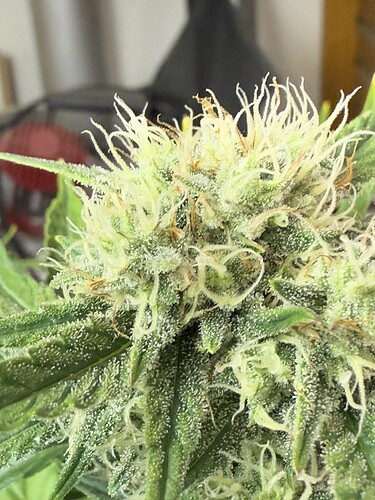 Growreport Bild 21