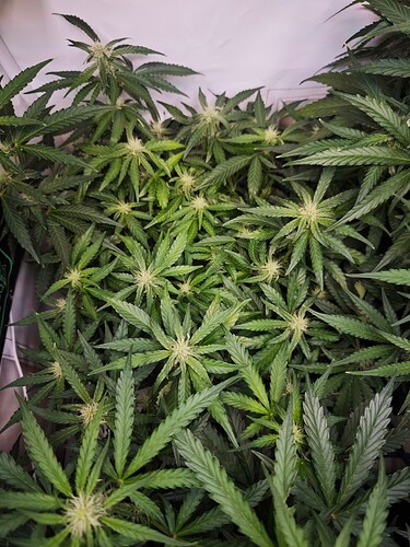 MVIMG_20251026_194307