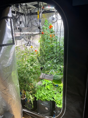 Growreport Bild 3