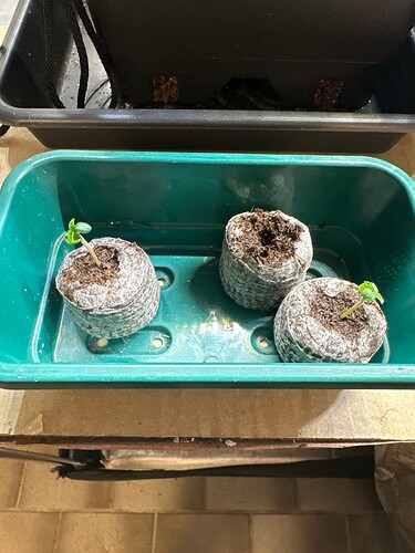 Growreport Bild 50