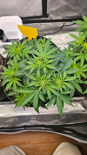 Growreport Bild 14
