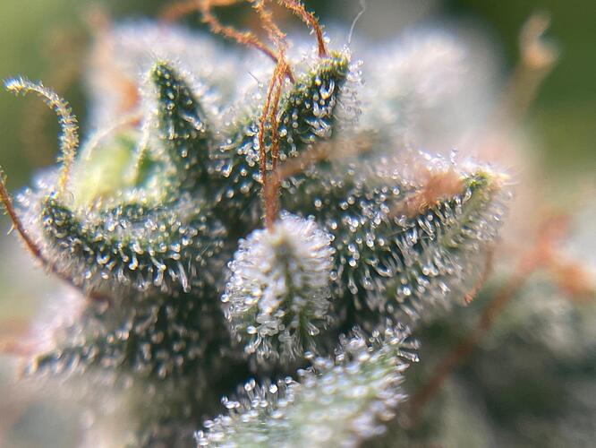 WhatsApp Image 2024-07-27 at 16.14.36 (2)