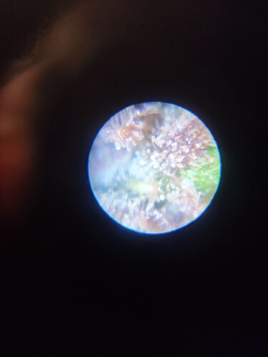 Growreport Bild 20