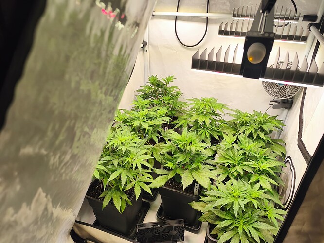 Growreport Bild 2
