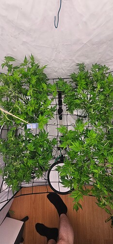 Growreport Bild 14