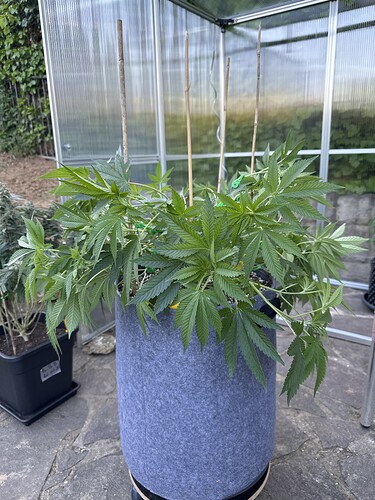 Growreport Bild 10