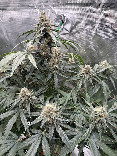Growreport Bild 22