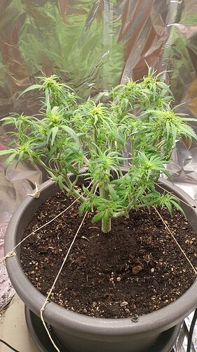 00000IMG_00000_BURST20240521145840_COVER