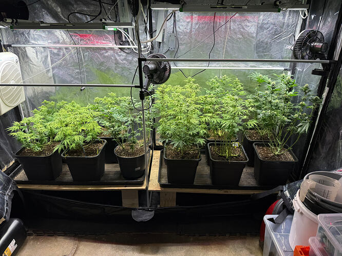 Growreport Bild 19