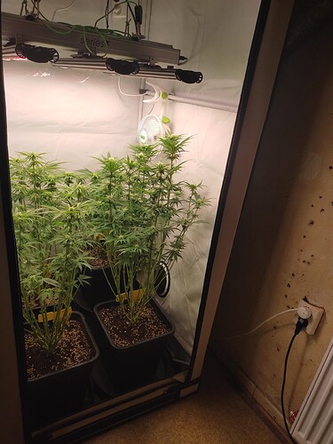 Growreport Bild 5