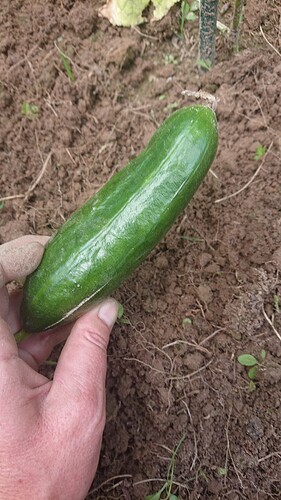 Growreport Bild 12