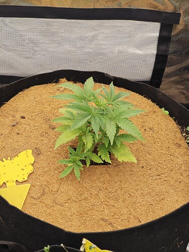 Growreport Bild 9