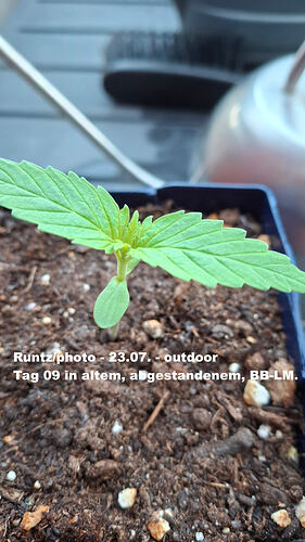 Runtzoutdoor02