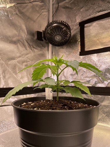 Growreport Bild 23