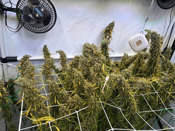 Growreport Bild 5