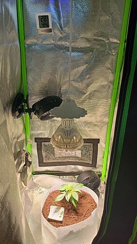 Growreport Bild 2