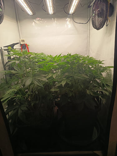 Growreport Bild 12