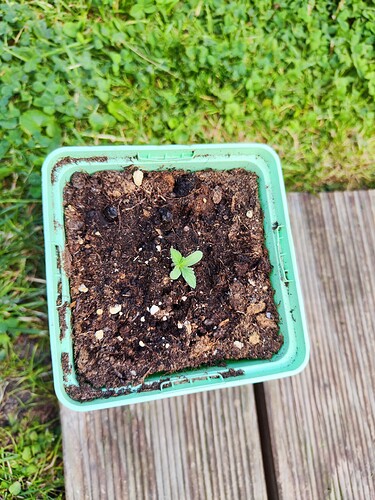 Growreport Bild 9