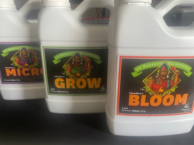 Growreport Bild 9