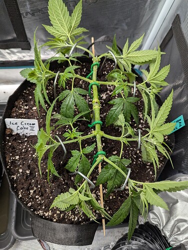 PXL_20250619_103605130.MP