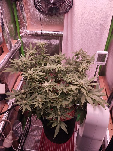 Growreport Bild 1