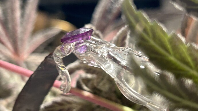 Growreport Bild 10