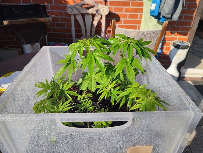 IMG_20240827_170019