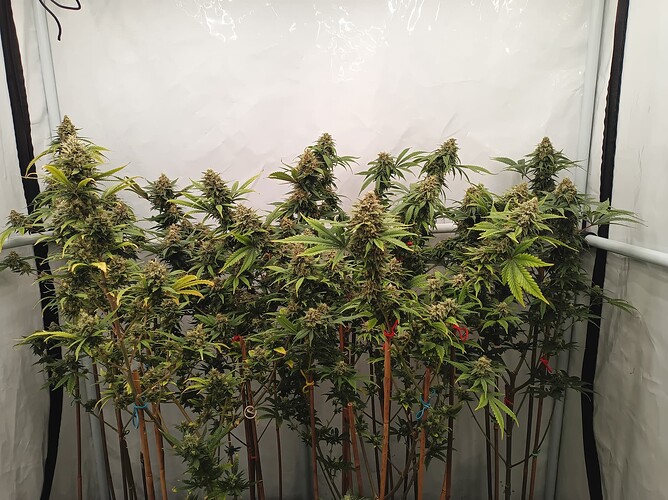 Growreport Bild 10