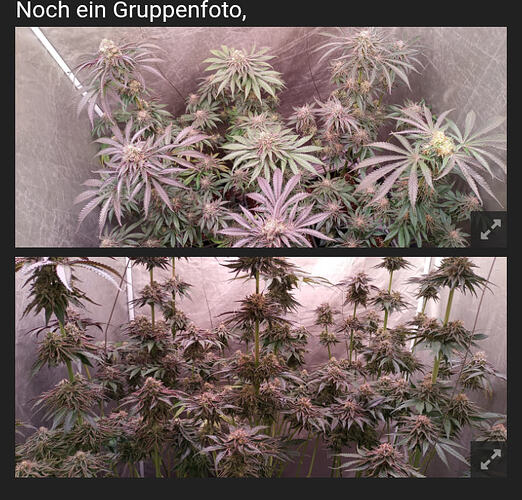 Screenshot_20260211-223747_(1)