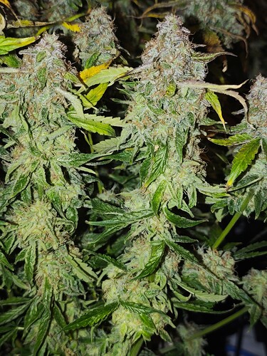 MVIMG_20251128_150253