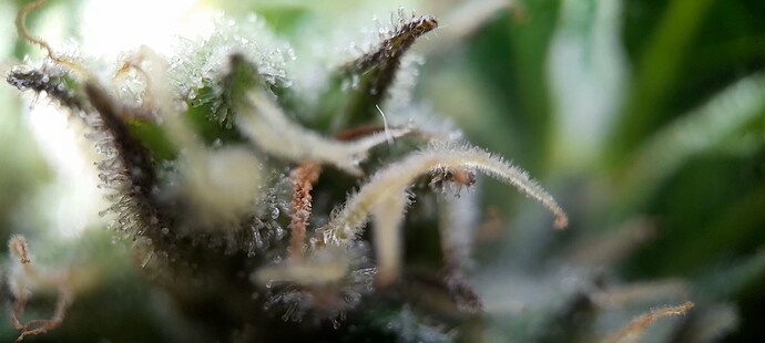 Growreport Bild 13
