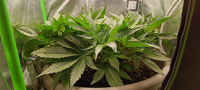Growreport Bild 6