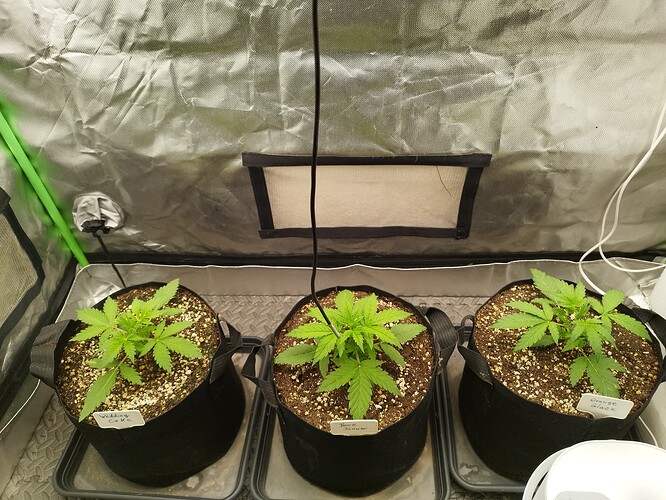 Growreport Bild 8