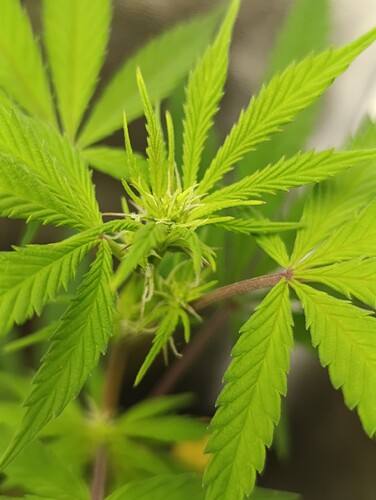 Growreport Bild 10