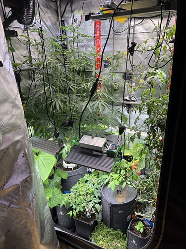 Growreport Bild 21