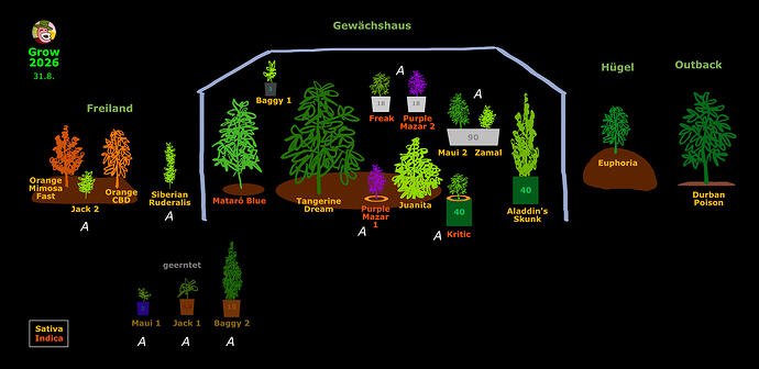 Garten26_Plan_0831_v01